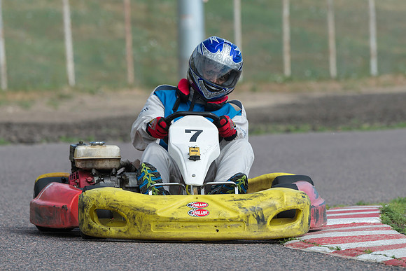 Kart #7 & #17 - Medina Alert