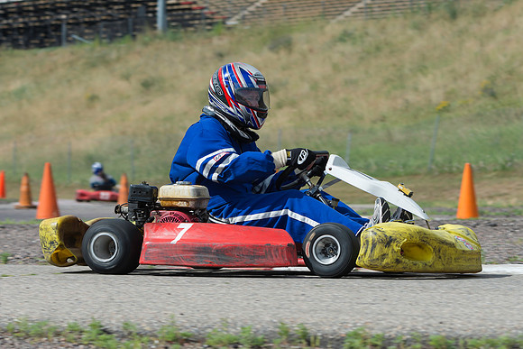 Kart #7 & #17 - Medina Alert