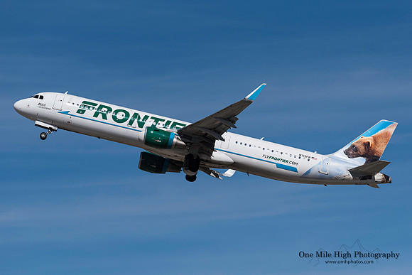 Airbus A321-211 (N713FR) - "Crockett" the Raccoon