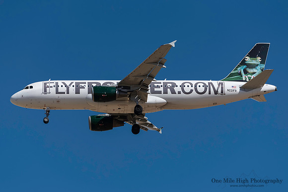 Airbus A320-214 (N221FR) - "Bugsy" the Tree Frog
