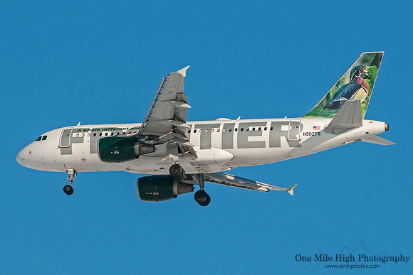 Airbus A319-111 (N902FR) - "Woody the Wood Duck"
