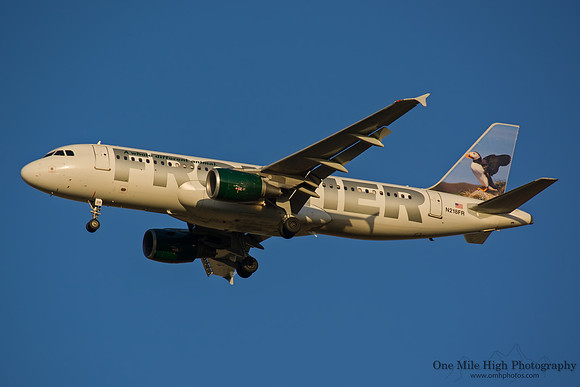 Airbus A320-214 (N218FR) - "Paxton the Atlantic Puffin"