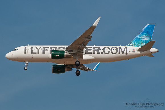 Airbus A320-214 (N220FR) - "Finn" the Great White Shark