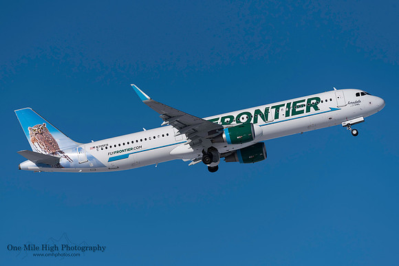 Airbus A321-211 (N705FR) - "Ferndale the Pygmy Owl"