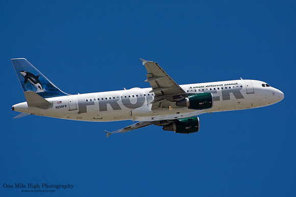 Airbus A320-214 (N205FR) - "Ozzie the Orca"