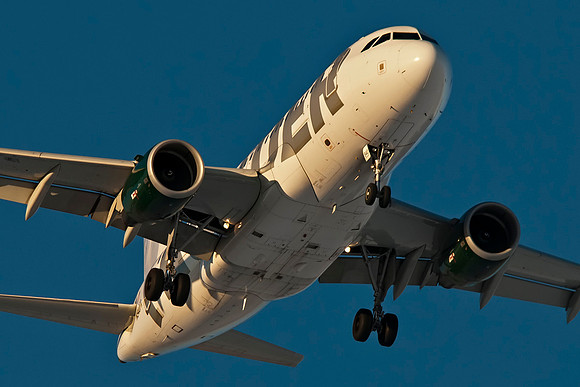 Airbus A319-111 (N940FR) - "Jack the Snowshoe Hare"