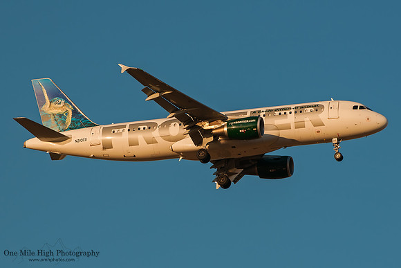 Airbus A320-214 (N210FR) - "Sheldon" the Sea Turtle