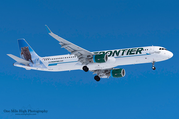 Airbus A321-211 (N705FR) - "Ferndale the Pygmy Owl"