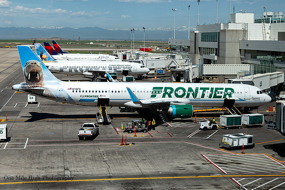 Airbus A321-211 (N716FR) - "Seymour" the Walrus