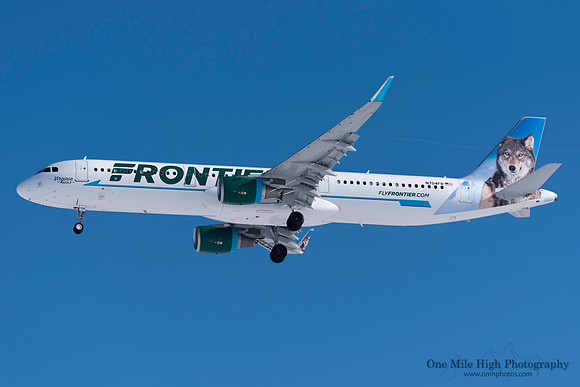 Airbus A321-211 (N704FR) - "Virginia" the Wolf