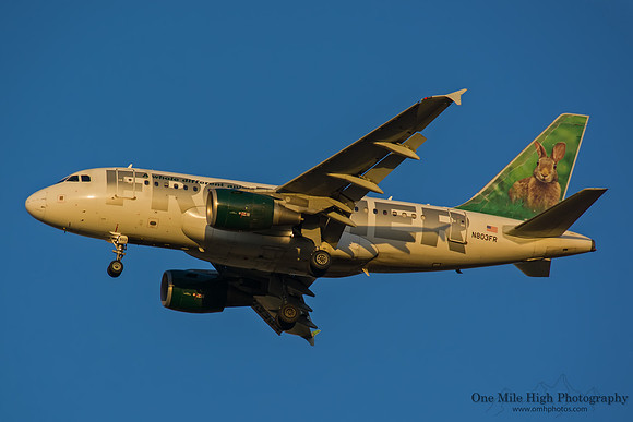 Airbus A318-111 (N803FR) - "Stu the Rabbit"