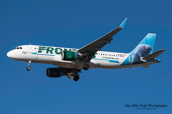Airbus A320-214 (N238FR) - "Champ" the Bronco