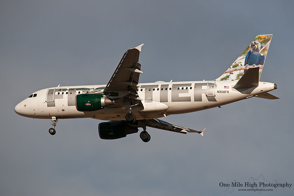 Airbus A319-111 (N908FR) - "Polly the Macaw"