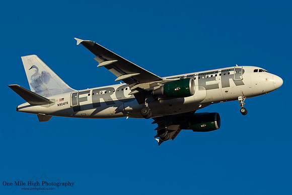 Airbus A319-112 (N904FR) - "Grace" the Swan