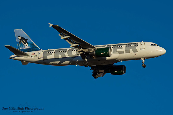 Airbus A320-214 (N205FR) - "Ozzie" the Orca