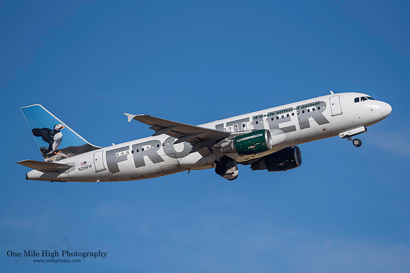 Airbus A320-214 (N218FR) - "Paxton" the Atlantic Puffin