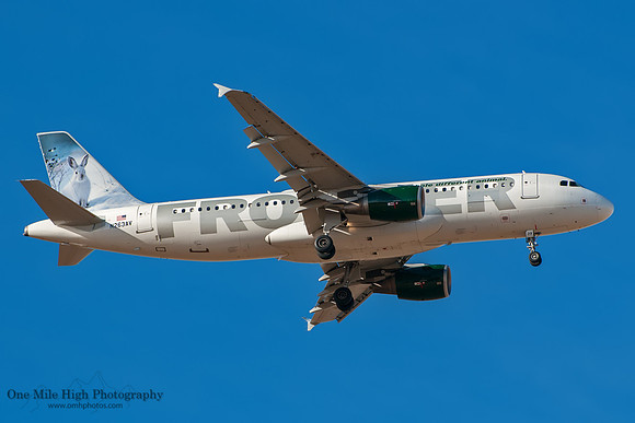 Airbus A320-214 (N263AV) - "Hare the Jack Rabbit"