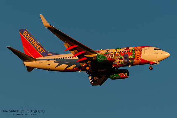 Boeing 737-7H4 (N945WN) - "Florida One"