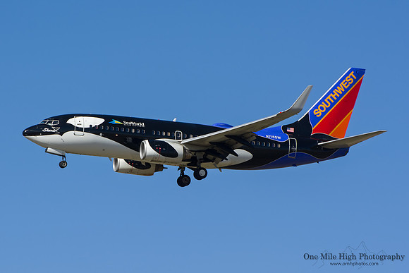 Boeing 737-7H4 (N715SW) - "Shamu"