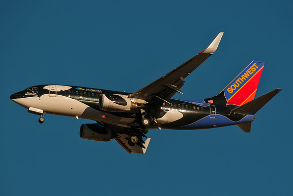 Boeing 737-7H4 (N715SW) - "Shamu"