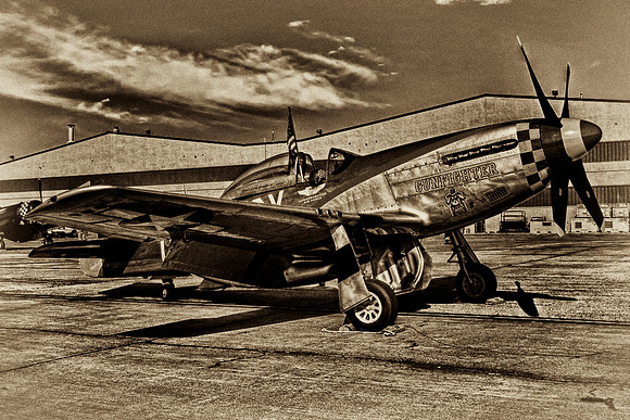 North American P-51D Mustang - Gunfighter