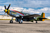 1944 North American P-51D Mustang (N5428V)