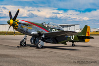 1944 North American P-51D Mustang (N5428V)