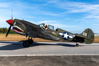 Curtiss Wright P-40N Warhawk (NL977WH) - "American Dream"