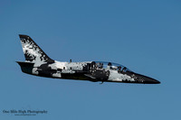 Aero L-39 Albatros (N135EM) - Polaris Ghost Squadron