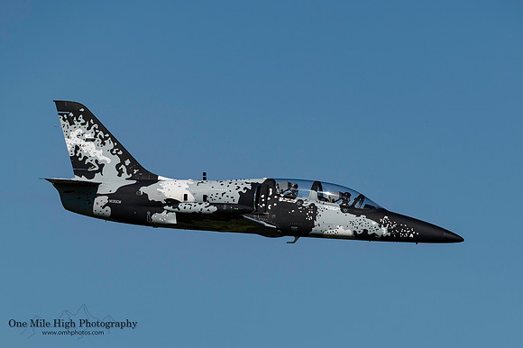 Aero L-39 Albatros (N135EM) - Polaris Ghost Squadron