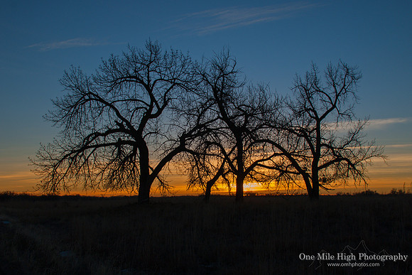 Sunrise at the Rocky Mountain National Arsenal Wildlife Refuge (2013-01-09)