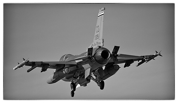 LD29753_Lockheed Martin F-16C - 120th Fighter Squadron (87-0229) B&W