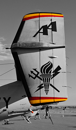 Grumman E-2C Hawkeye (BuNo 164352) - VAW-125 Tiger Tails
