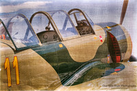 2002 S C Aerostar S A Yak-52TW (N916BM)