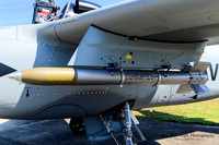 SIAI-Marchetti S.211 (NX270CF) - Doug Matthews
