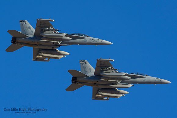 Boeing EA-18G Growler - VAQ-135 Black Ravens