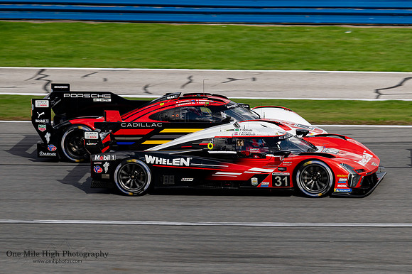#31 Whelen Cadillac Racing - Cadillac V-Series R