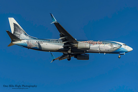 Boeing 737-890 (N559AS) - "Salmon 30 Salmon II"
