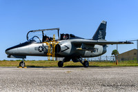 SIAI-Marchetti S.211 (NX270CF) - Doug Matthews