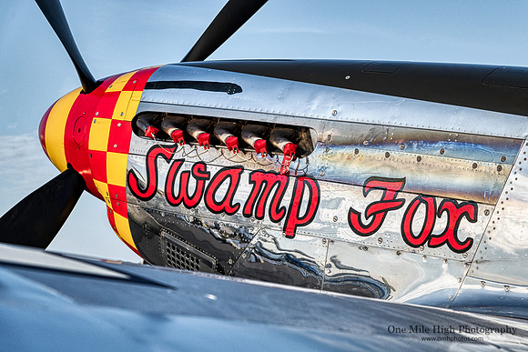 1944 North American P-51D Mustang (NL5420V) - Swamp Fox