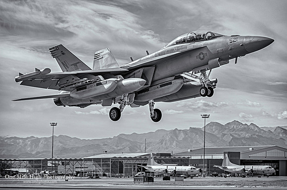 Boeing EA-18G Growler - VAQ-135 Black Ravens