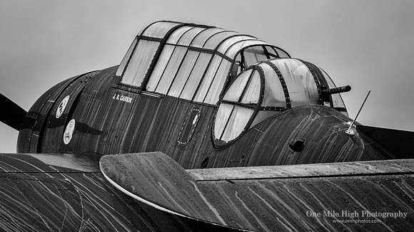 Grumman TBM-3E Avenger (N4170A) - National Museum of World War II Aviation