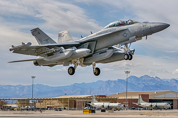 Boeing EA-18G Growler - VAQ-135 Black Ravens