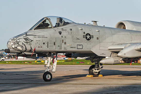 Fairchild A-10A Warthog (78-0614) - 184th Fighter Squadron