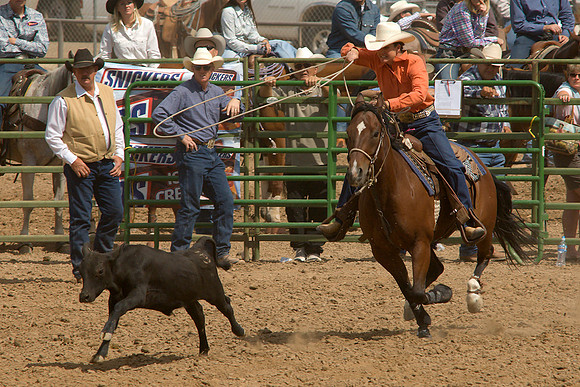 CPRA 2007 Finals - Ladies Breakback Roping