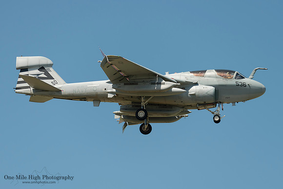 DSC5916_Grumman EA-6B Prowler (BuNo 159909) - VX-23 Salty Dogs