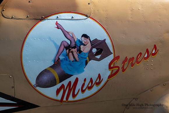 1972 Nanchang CJ-6A (N53CJ) - Miss Stress