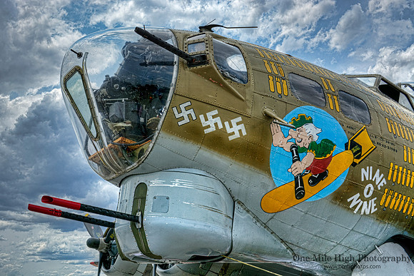 1944 Boeing B-17G Flying Fortress (N93012) - "Nine 'O Nine"